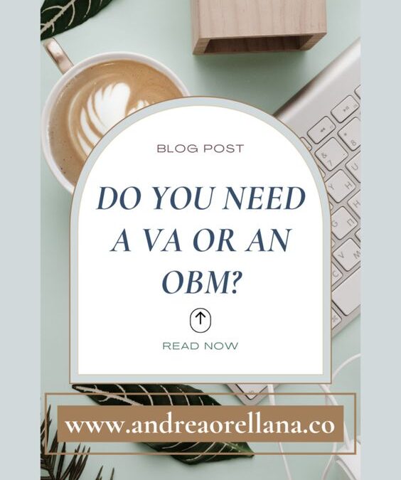 Do you need a VA or an OBM?